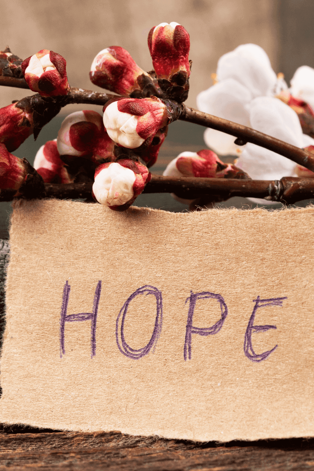 How To Find Renewed Hope As A Discouraged Pastor's Wife She Is A Pastor's Wife Blog Post Featured Image